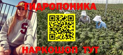 дмт Старая Купавна