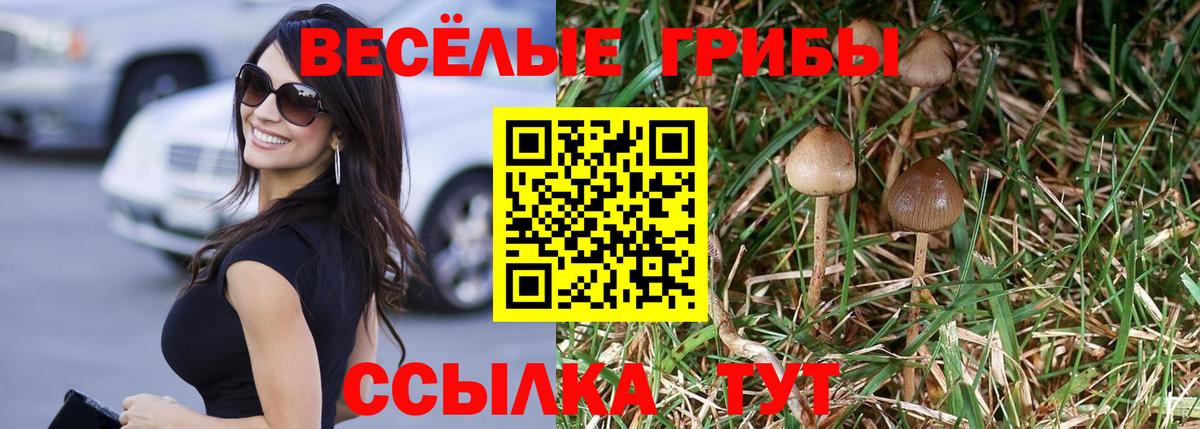Псилоцибиновые грибы MAGIC MUSHROOMS Новый Уренгой
