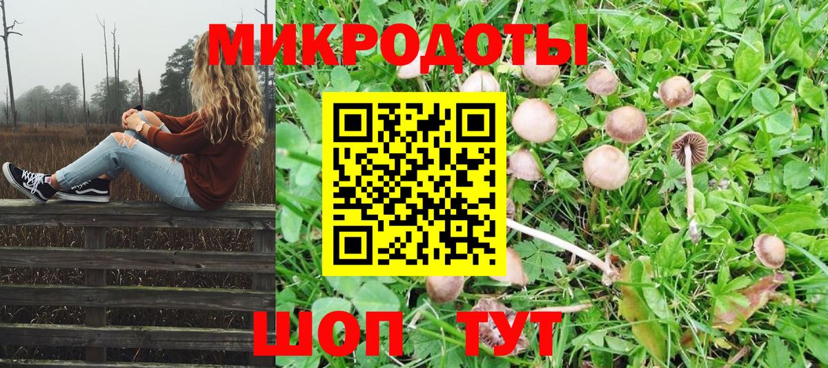 где продают   Псилоцибиновые грибы GOLDEN TEACHER  Вход с VPN  Псилоцибиновые грибы MAGIC MUSHROOMS  Новый Уренгой 